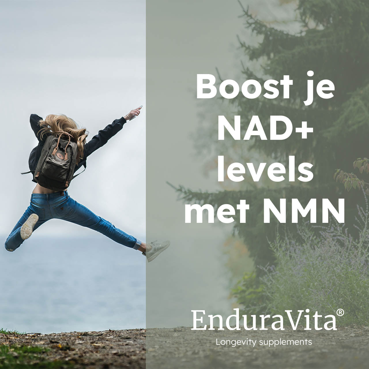 NMN 60x250mg - 99,8% zuiverheid